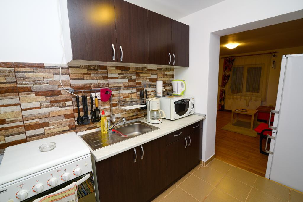Otopeni Therme Airport Apartment חדר תמונה