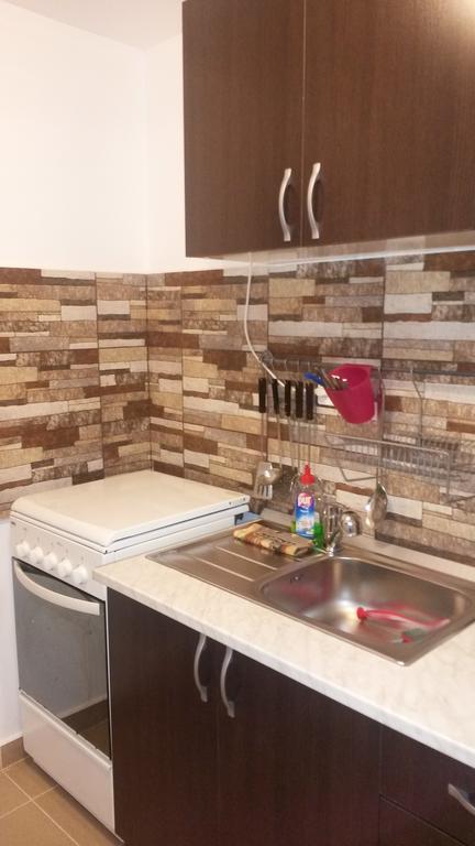 Otopeni Therme Airport Apartment חדר תמונה