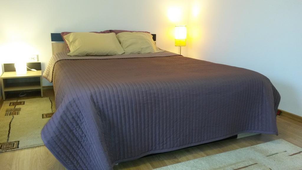 Otopeni Therme Airport Apartment חדר תמונה