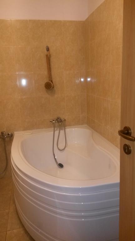 Otopeni Therme Airport Apartment חדר תמונה