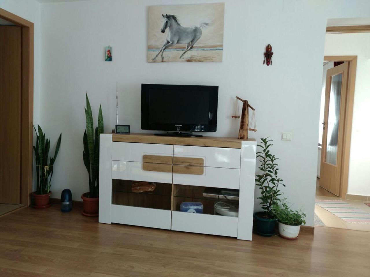 Otopeni Therme Airport Apartment מראה חיצוני תמונה